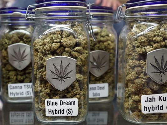 Soon Governments May Want You to Get High: Legal pot may soon be at a store near you